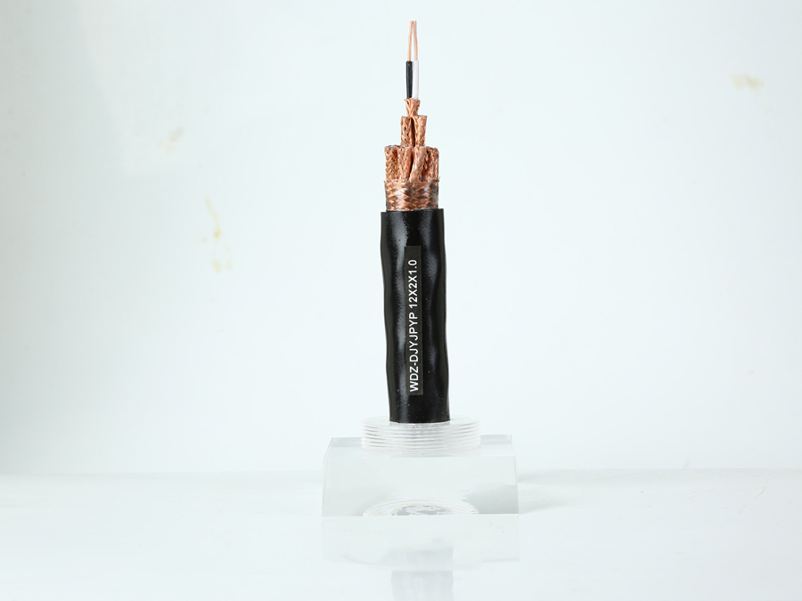 氟塑料絕緣計算機(jī)系統(tǒng)用高溫測控電纜